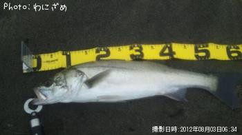 �����Х�