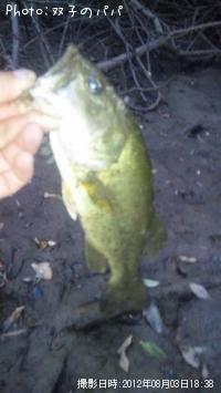 �֥�å��Х�