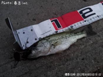 �֥�å��Х�