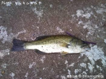 �֥�å��Х�