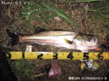 �����Х�