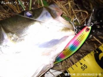 �����Х�