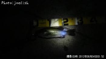 ¥Ö¥é¥Ã¥¯¥Ð¥¹