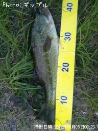 ¥Ö¥é¥Ã¥¯¥Ð¥¹