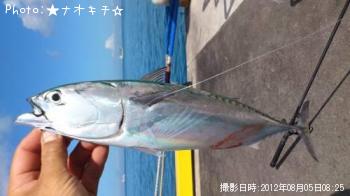 ���������ĥ�