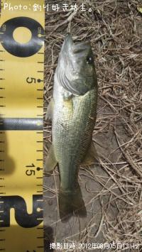 �֥�å��Х�