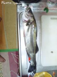 �����Х�