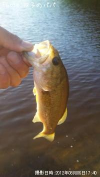 �֥�å��Х�