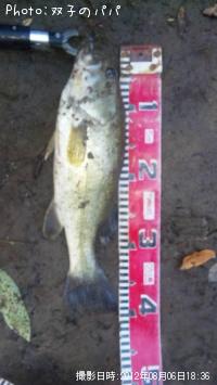 �֥�å��Х�