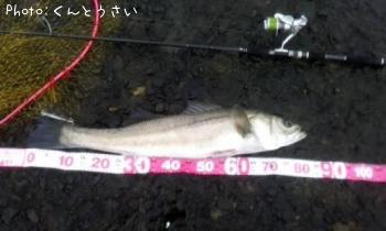 �����Х�