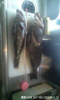 �����ʥ�