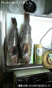 �����ʥ�