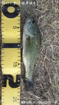 �֥�å��Х�