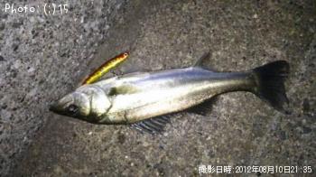 �����Х�