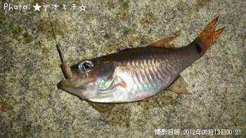 ¥Í¥ó¥Ö¥Ä¥À¥¤