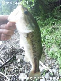 �֥�å��Х�