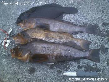 �����ʥ�