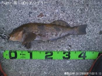 �����ʥ�