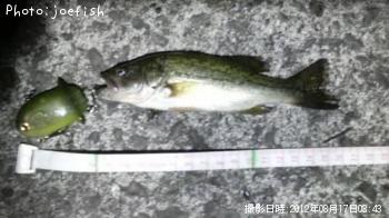 �֥�å��Х�