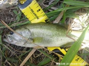 �֥�å��Х�