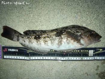 �����ʥ�