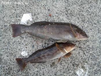 �����ʥ�