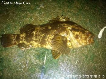 �٥å�������