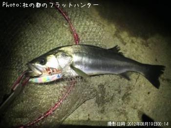 �����Х�