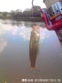 ¥Ö¥é¥Ã¥¯¥Ð¥¹