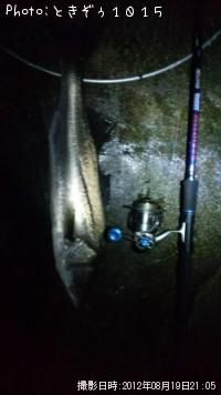 �����Х�