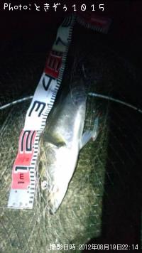 �����Х�