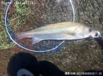 �����Х�