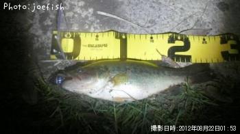 �֥�å��Х�