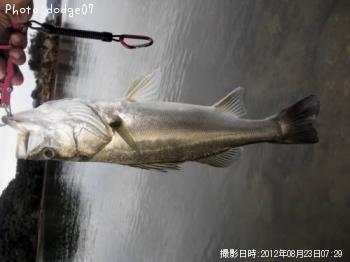 �����Х�