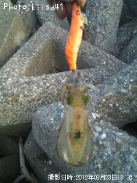 �����ꥤ��