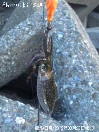 �����ꥤ��