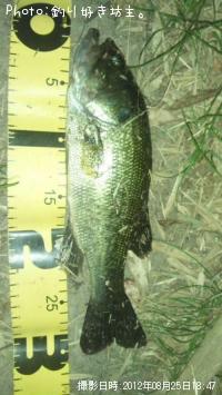 �֥�å��Х�