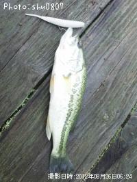 ¥Ö¥é¥Ã¥¯¥Ð¥¹