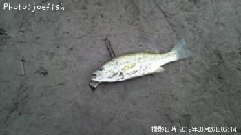 ¥Ö¥é¥Ã¥¯¥Ð¥¹