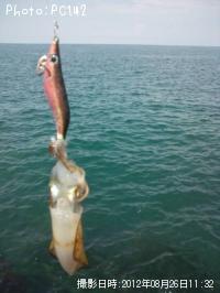 �����ꥤ��