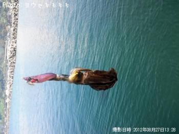 �����ꥤ��