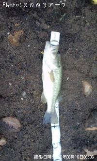 �֥�å��Х�