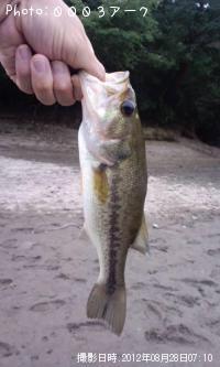 �֥�å��Х�