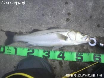 �����Х�