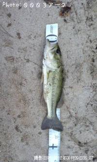 ¥Ö¥é¥Ã¥¯¥Ð¥¹