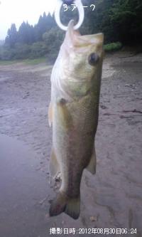 ¥Ö¥é¥Ã¥¯¥Ð¥¹