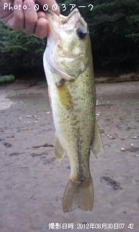 �֥�å��Х�