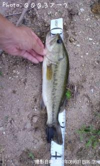 �֥�å��Х�