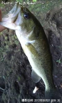 �֥�å��Х�