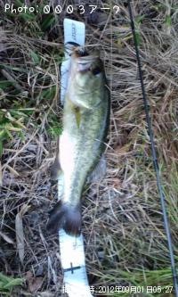 �֥�å��Х�